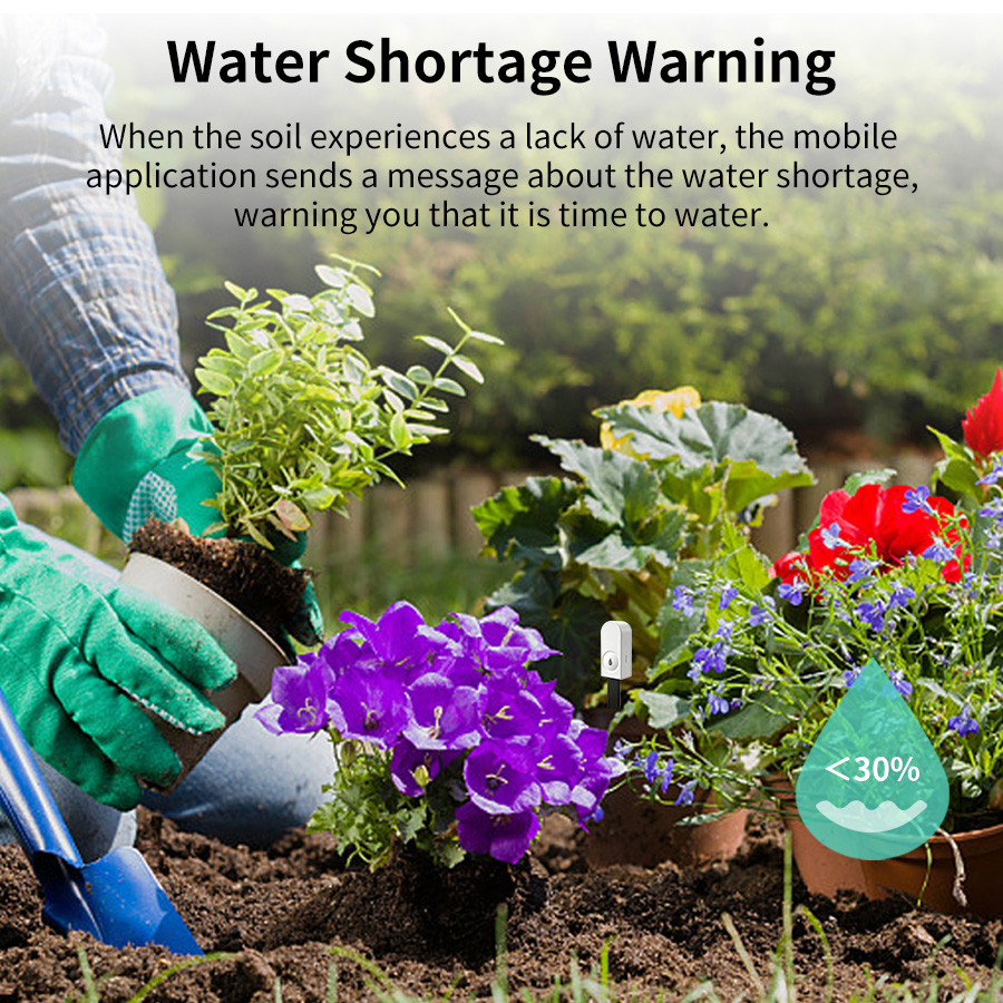 Smart ZigBee Soil Moisture Sen - Smart Garden Moisture Sensor ulasan dan harga