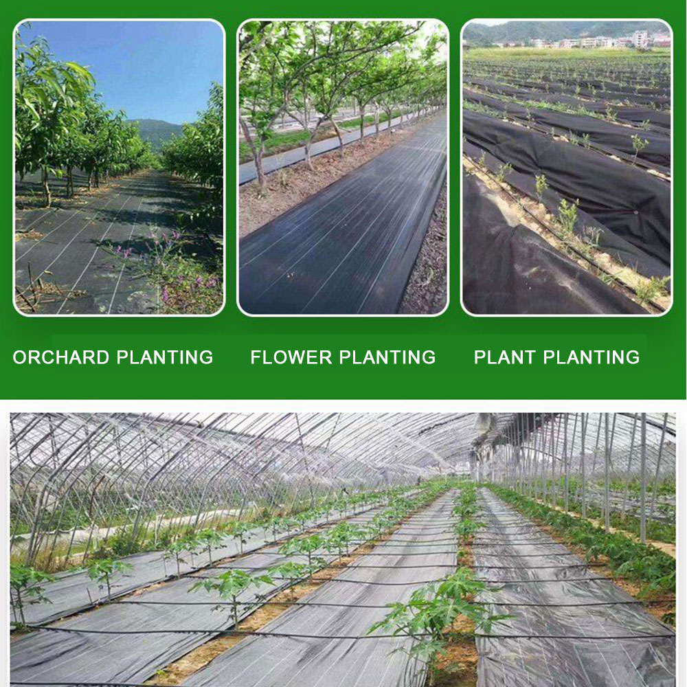16.4ft/32.8ft PE Woven Weed Co - Smart Garden Greenhouse ulasan dan harga