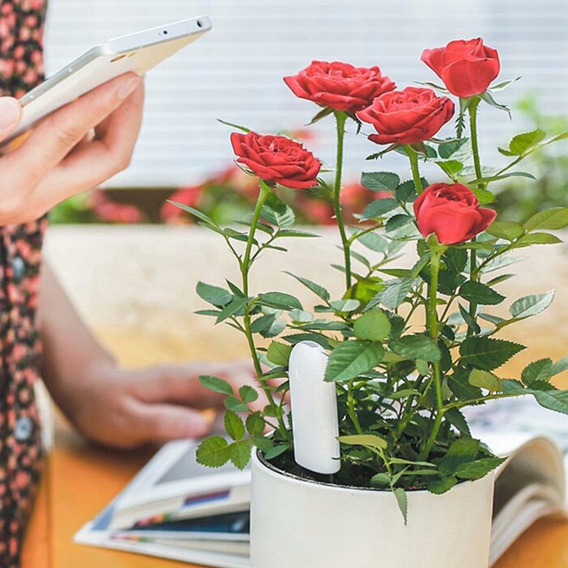 HHCC Flower Monitor Flora Gard - Smart Garden Xiaomi ulasan dan harga