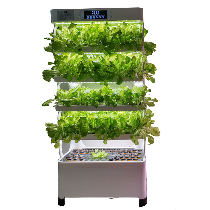 Indoor Smart Low Cost Hydropon - Smart Garden System ulasan dan harga