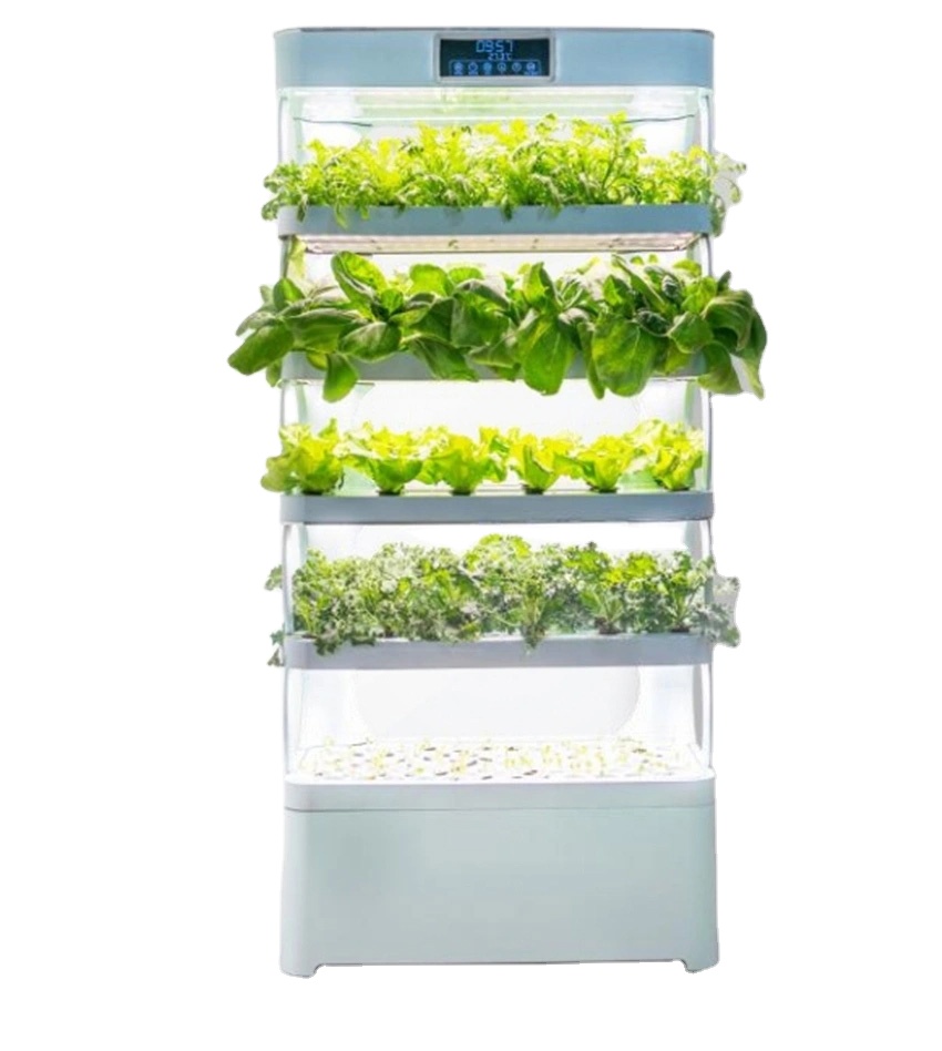 arming Home Hydroponic Growing - Smart Garden System ulasan dan harga