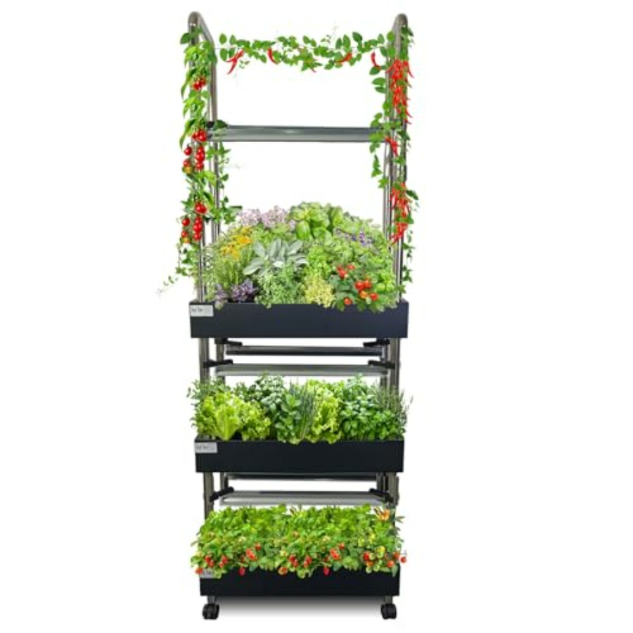 Indoor hydroponics growing sys - Smart Garden System ulasan dan harga