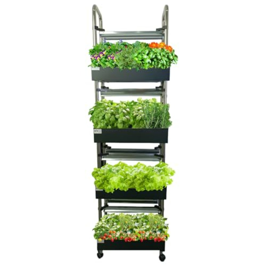 Indoor hydroponics growing sys - Smart Garden System ulasan dan harga